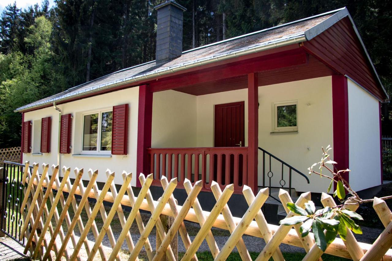 Erzgebirgsidyll Breitenbrunn - Waldhaus Neuer Anbau Exteriér fotografie