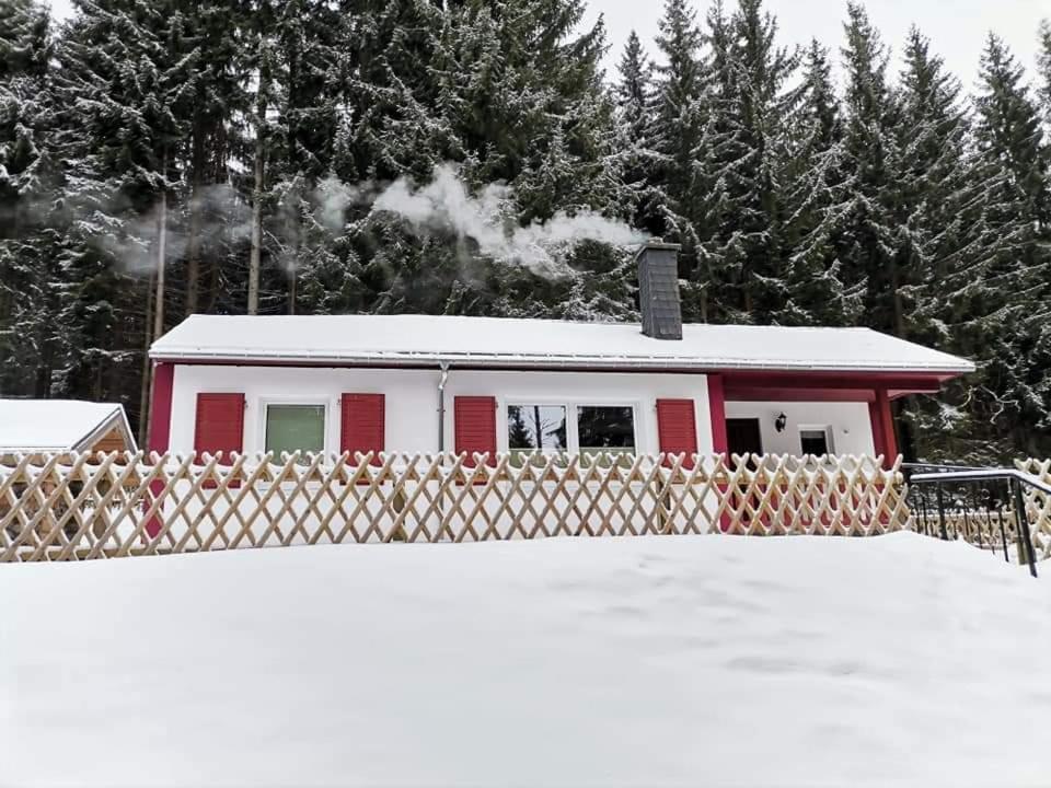Erzgebirgsidyll Breitenbrunn - Waldhaus Neuer Anbau Exteriér fotografie